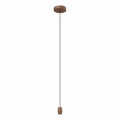 Eglo 300172 - Cable de alimentación CURITIBA 1xE27/40W/230V marrón