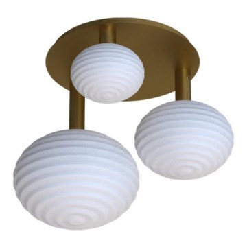 Eglo 300498 - Lámpara de techo de montaje en superficie ERCALTO 3xE27/25W/230V dorada