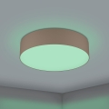 Eglo 31767 - Lámpara de techo LED RGBW regulable ROMAO-Z LED/35W/230V 2700-6500K diámetro 57 cm topo