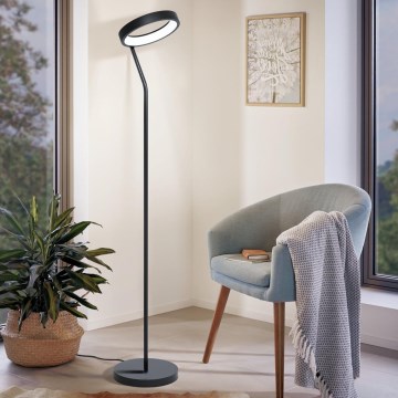 Eglo 32327 - Lámpara de pie regulable LED RGBW MARGHERA-C LED/15,5W/230V 2700-6500K negra
