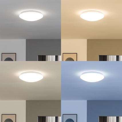 Eglo 33219 - LED RGBW Luminaria de techo regulable GIRON-C LED/17W/230V Ø 30 cm blanca