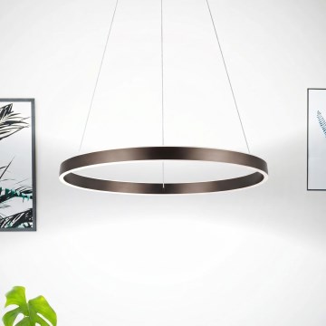 Eglo 33483 - Lámpara colgante LED ALCAZABA con cable 2xLED/18W/230V 3000K Ø 55 cm bronce