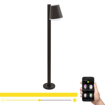 Eglo 33561 - Lámpara exterior LED regulable CALDIERO-C 1xE27/9W/230V IP44 antracita