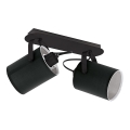 Eglo 33646 - Lámpara de focos VILLABATE 2xE27/10W/230V