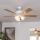 Eglo 35076 - Ventilador de techo LAS PALMAS 3xE27/40W/230V marrón