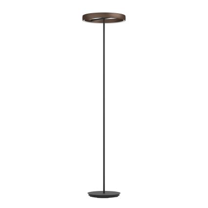 Eglo - Lámpara de pie LED regulable con sensor de movimiento 2xLED/19W/230V 2200-6500K marrón