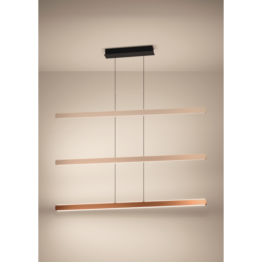 Eglo - Lámpara colgante LED regulable suspendida en cable LED/30W/230V 2200-6500K dorada + mando a distancia