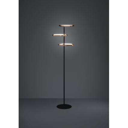 Eglo - Lámpara de pie regulable LED/20W/230V 2200-6500K latón