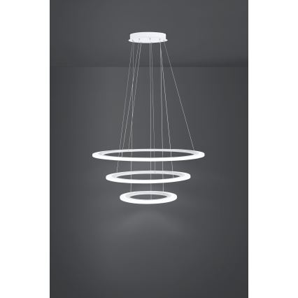 Eglo - Lámpara colgante LED regulable con cable LED/45W/230V + LED/33W + LED/19,5W