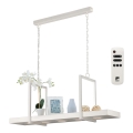 Eglo 39302 - Lámpara colgante LED RGBW regulable con cadena y repisa CALAMONA 5xLED/6W/230V + mando a distancia