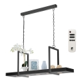 Eglo 39348 - Lámpara colgante LED RGBW regulable con cadena y estante CALAMONA 5xLED/6W/230V + mando a distancia