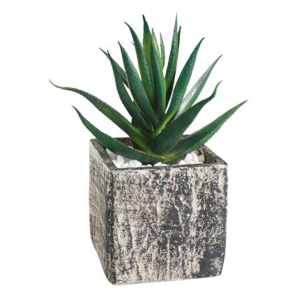 Eglo - Planta artificial en una maceta 13x9,5 cm suculento