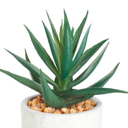 Eglo - Planta artificial en una maceta 15,5x10 cm suculento