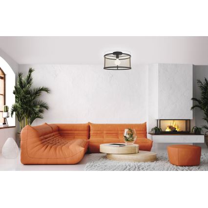 Eglo - Lámpara de techo 1xE27/40W/230V