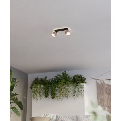 Eglo - Aplique 2xE14/40W/230V negro/beige