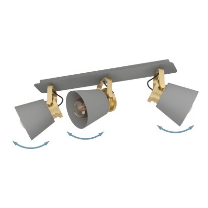 Eglo - Lámpara de techo con 3 focos E27/40W/230V