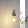Eglo 49377 - Lámpara colgante AVOLTRI 1xE27/60W/230V
