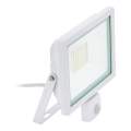 Eglo 64877 - Proyector LED con sensor FILETTI LED/50W/230V 3000K IP44 blanco