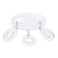 Eglo 75203 - Foco LED ODERZO 3xLED/3,8W/230V