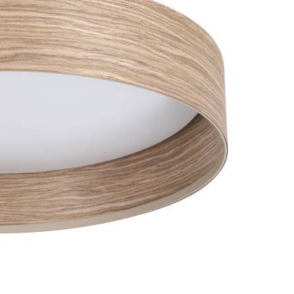 Eglo - Plafón LED LED/24W/230V