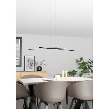 Eglo - Lámpara colgante LED regulable con cable 2xLED/13W/230V