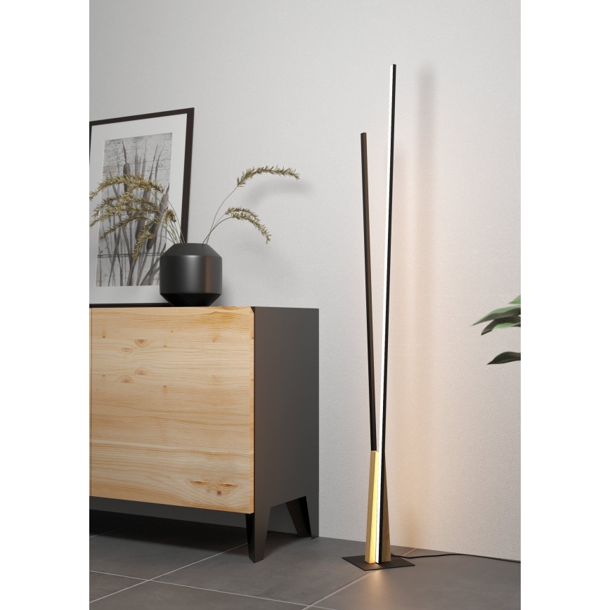 Eglo - Lámpara de pie LED LED/24W/230V