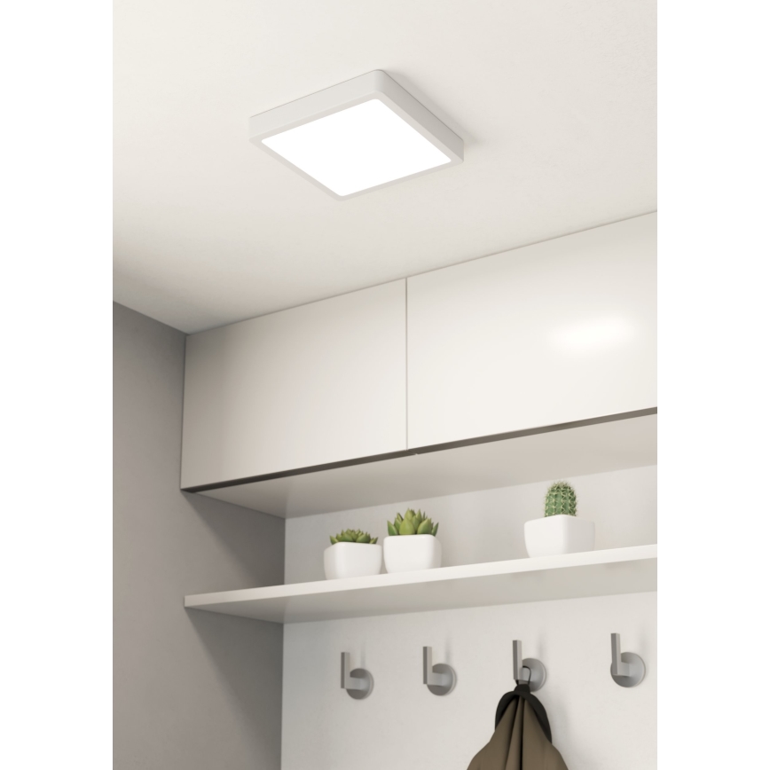 Eglo - Plafón LED para baño, 17 W, 230 V, IP44, blanco, 21 x 21 cm
