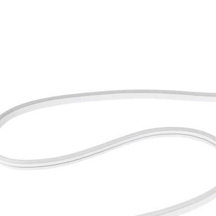 Eglo - Tira LED RGBW regulable 5m LED/30W/230V 3000-6500K