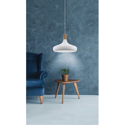 Eglo - Lámpara colgante con cable 1xE27/40W/230V, Ø 40 cm, blanca