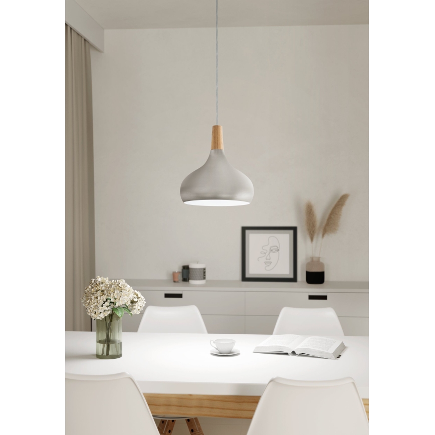 Eglo - Lámpara colgante con cable 1xE27/60W/230V, diámetro 28 cm, plateada