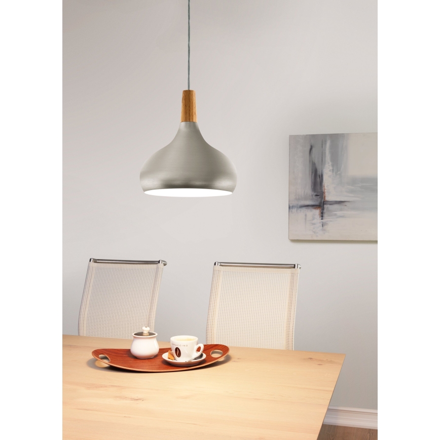 Eglo - Lámpara colgante con cable 1xE27/60W/230V, diámetro 28 cm, plateada