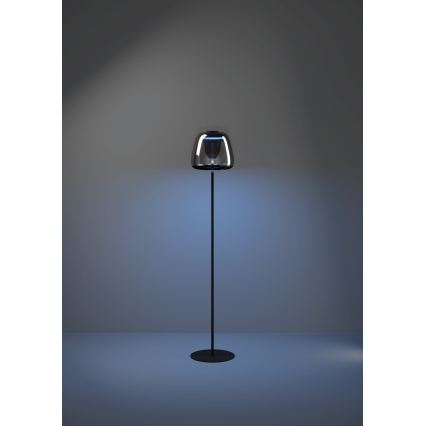 Eglo - Lámpara de pie LED RGBW regulable LED/15,5W/230V 2700-6500K ahumada