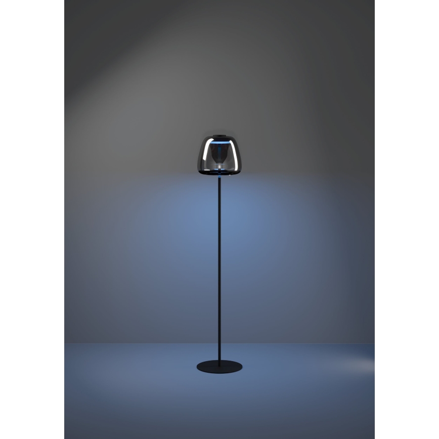 Eglo - Lámpara de pie LED RGBW regulable LED/15,5W/230V 2700-6500K ahumada