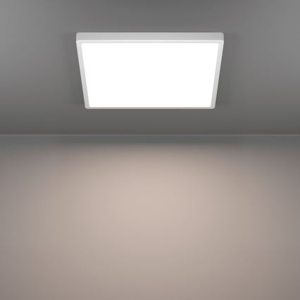 Eglo - LED Luminaria de techo LED/17,5W/230V 2700/4000/6500K 39x39 cm blanca
