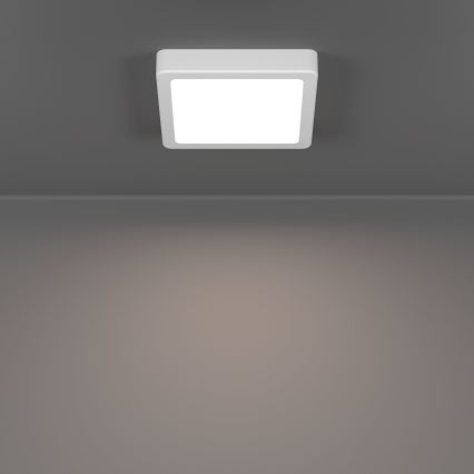 Eglo - Plafón LED para baño LED/7W/230V 2700/4000/6500K 15x15 cm IP44 blanco