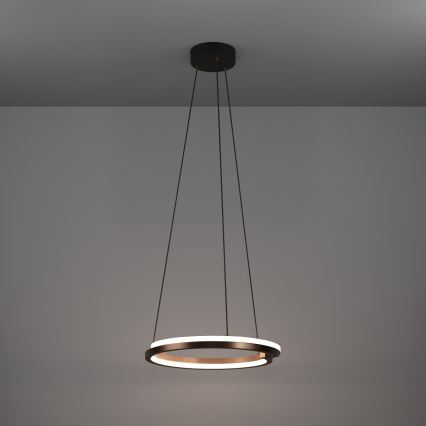 Eglo - Lámpara LED colgante regulable con cable 2xLED/20W/230V 2700-6500K Ø 48 cm bronce + mando a distancia