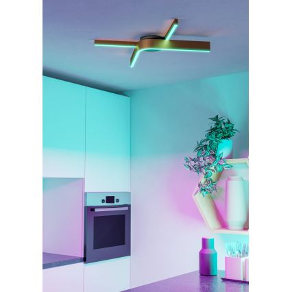 Eglo - Luminaria de techo LED RGBW regulable 2xLED/18W/230V 2700-6500K cobre/negro