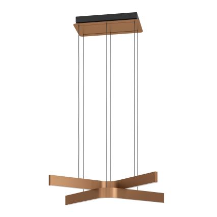 Eglo - Lámpara colgante regulable LED RGBW con cable 2xLED/18W/230V cobre/negro