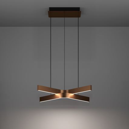 Eglo - Lámpara colgante regulable LED RGBW con cable 2xLED/18W/230V cobre/negro