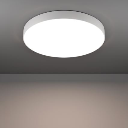 Eglo - Lámpara de techo LED RGBW regulable LED/36,5W/230V 2700-6500K Ø 69 cm blanco