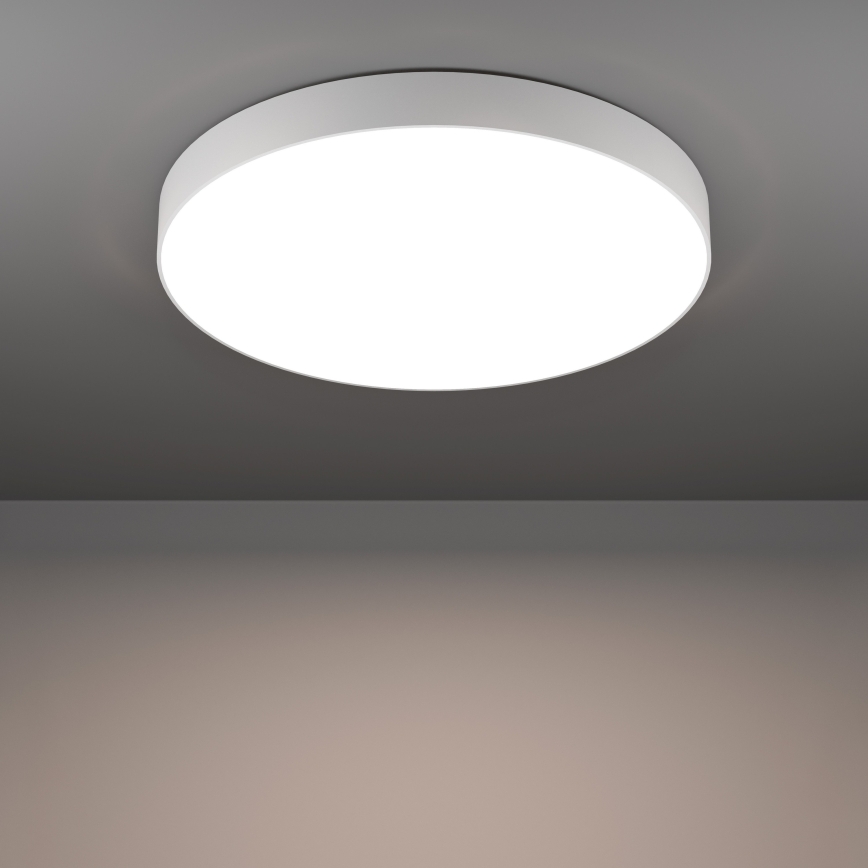 Eglo - Lámpara de techo LED RGBW regulable LED/36,5W/230V 2700-6500K Ø 69 cm blanco