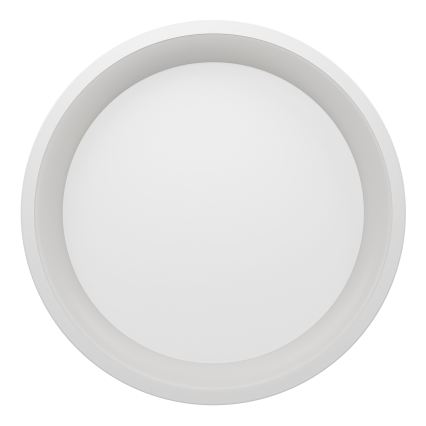 Eglo - LED RGBW Luminaria de techo regulable LED/19,6W/230V 2700-6500K Ø 35 cm blanca