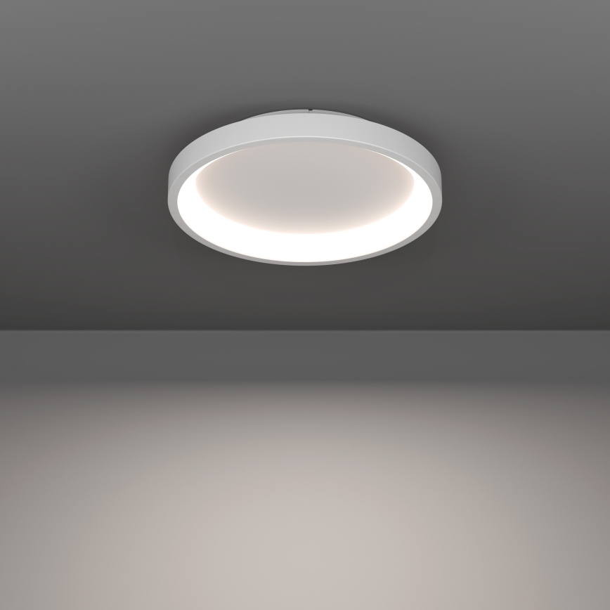 Eglo - LED RGBW Luminaria de techo regulable LED/19,6W/230V 2700-6500K Ø 35 cm blanca