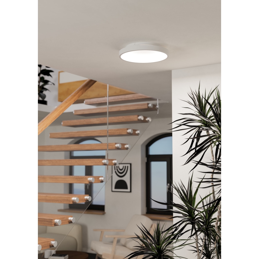 Eglo - LED RGBW Luminaria de techo regulable LED/19,6W/230V 2700-6500K Ø 35 cm blanca