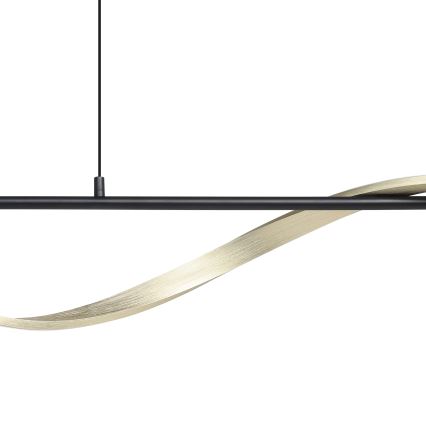 Eglo - Lámpara colgante LED suspendida por cable LED/20W/230V 2700/4000/6500K negro/dorado