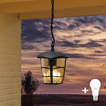Eglo 93406 - Lámpara LED exterior ALORIA 1xE27/8,5W/230V IP44