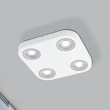Eglo 94178 - LED Foco MONTALE 4xLED/5,4W/230V