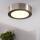 Eglo 94523 - Lámpara de techo LED FUEVA 1 LED/10,9W/230V Ø 17 cm