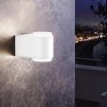 Eglo 95077 - Aplique exterior BRIONES 2xLED/3W/230V IP44