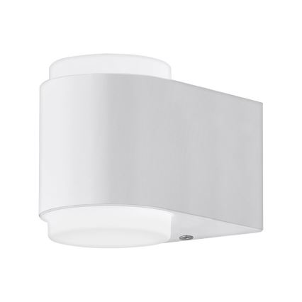 Eglo 95077 - Aplique exterior BRIONES 2xLED/3W/230V IP44